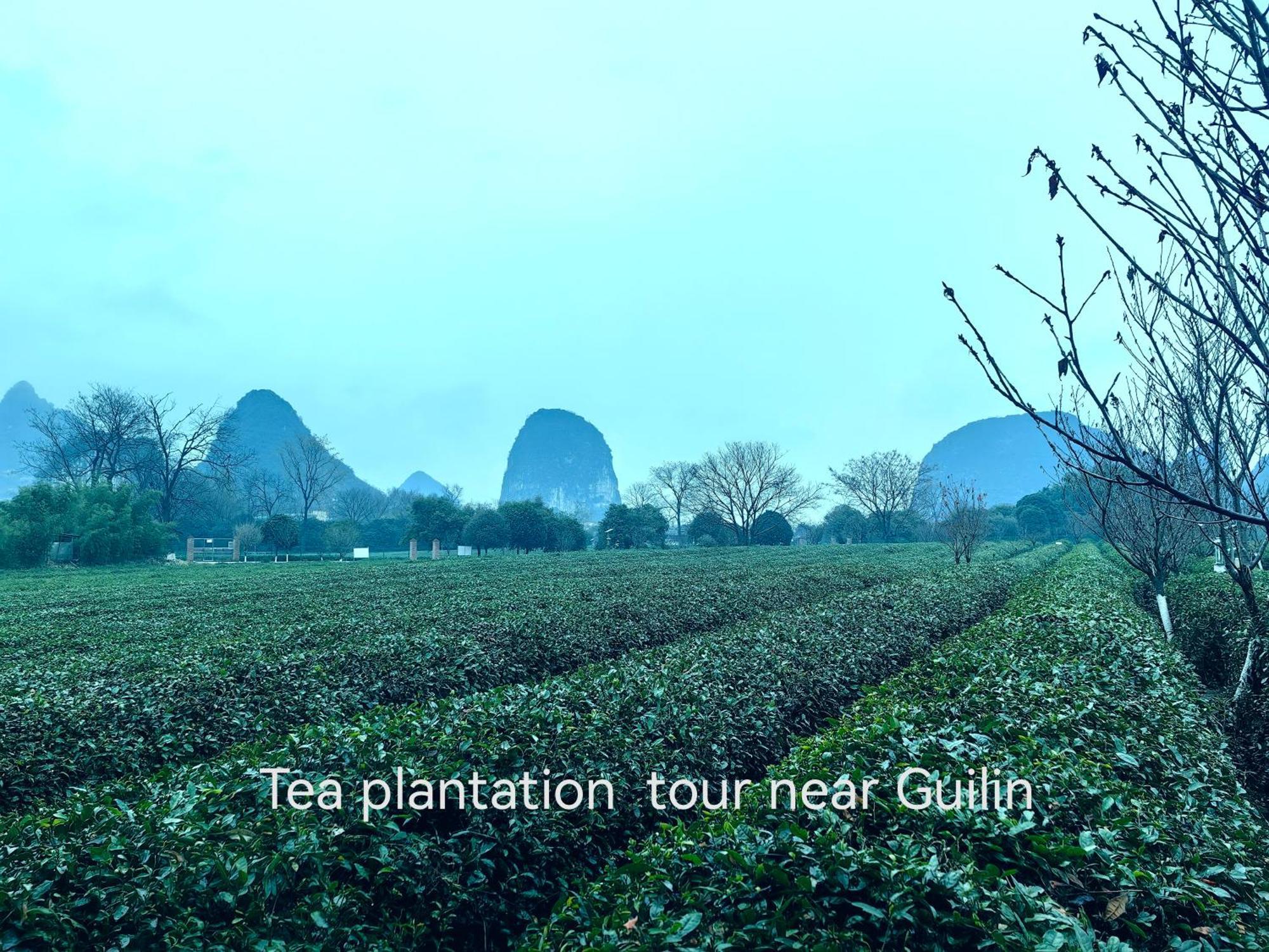 Guilin Village Creek Inn-Free Private Car Pick Up Station Stay 3 Nights 외부 사진
