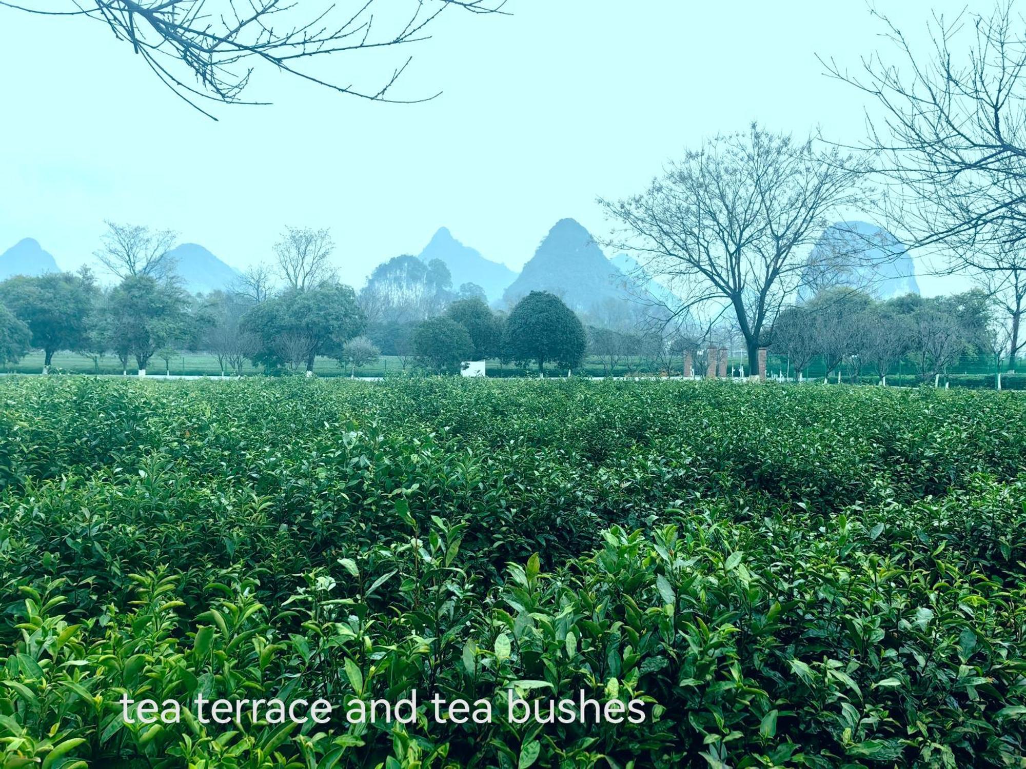 Guilin Village Creek Inn-Free Private Car Pick Up Station Stay 3 Nights 외부 사진